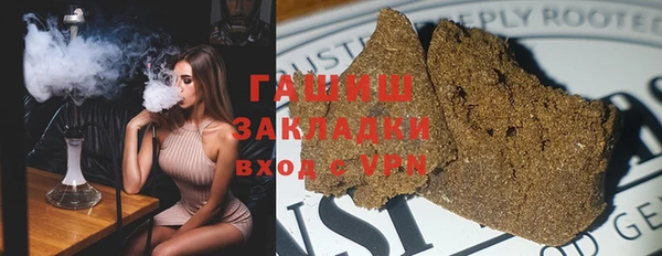 хмурый Алексин