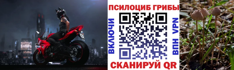 Псилоцибиновые грибы мухоморы  мориарти формула  Краснокамск  mega рабочий сайт 